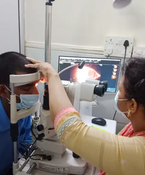 What is Cornea?